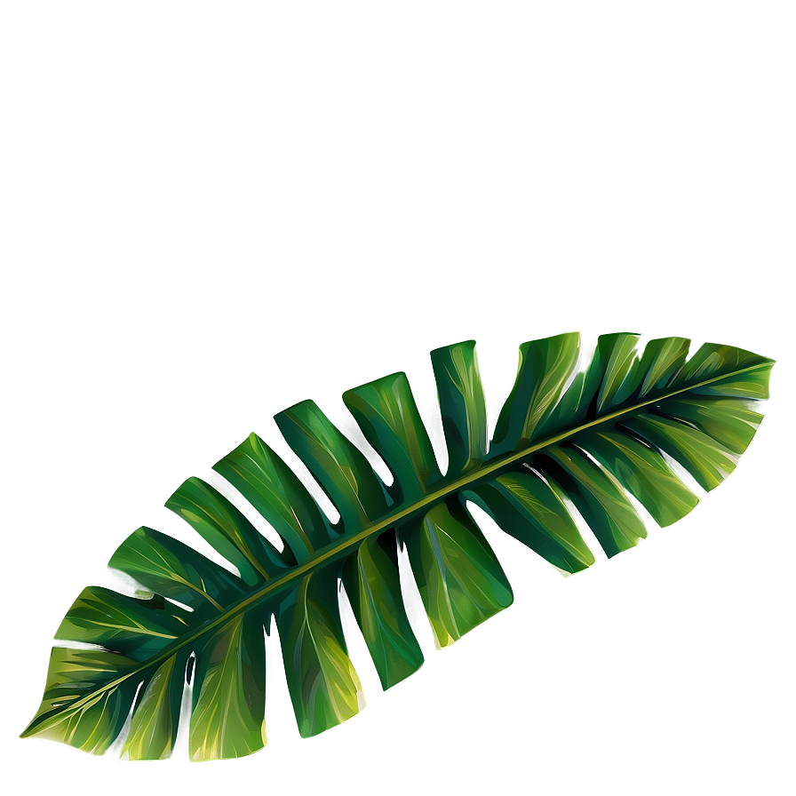 Tropical Leaf Border Png Ccx