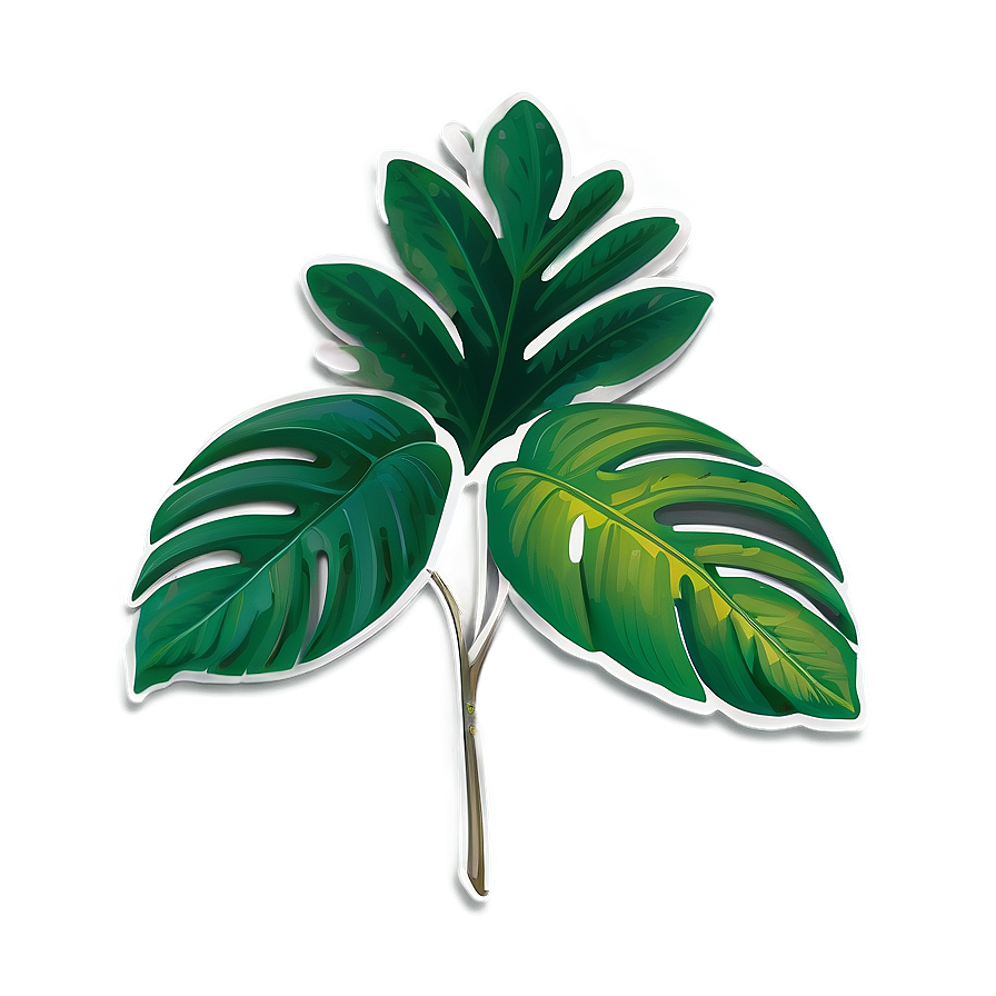 Tropical Leaf Branding Png 06122024