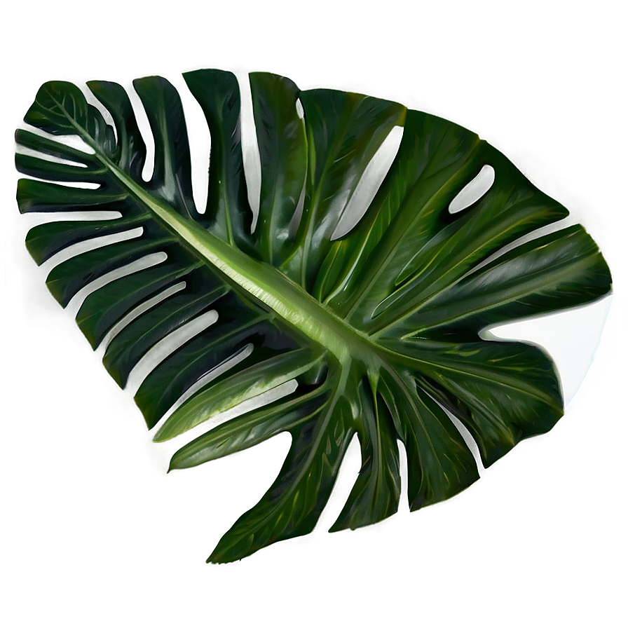 Tropical Leaf Composition Png Dnp79