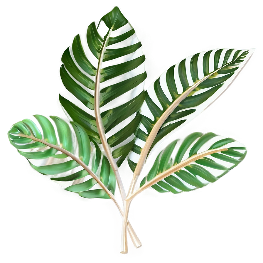 Tropical Leaf Decoration Png Ord75