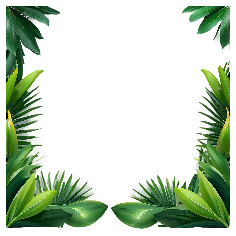 Tropical Leaf Frame Png Ocs76