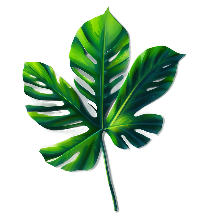 Tropical Leaf Shadow Png Adp