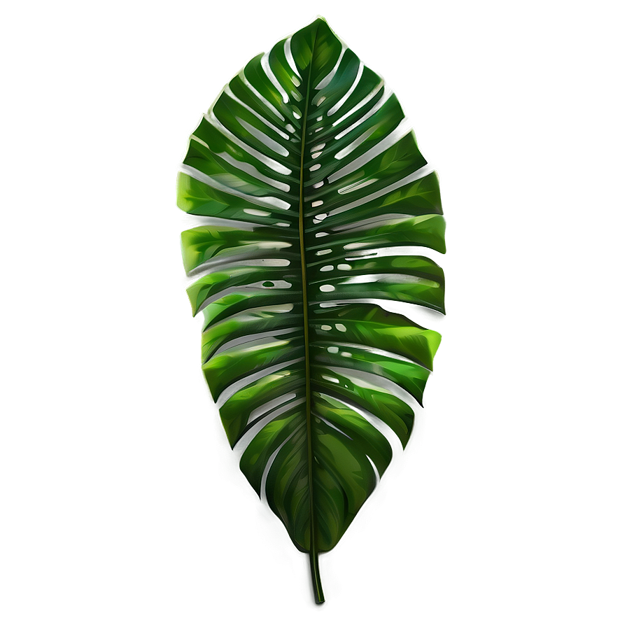 Tropical Leaf Silhouette Png 97