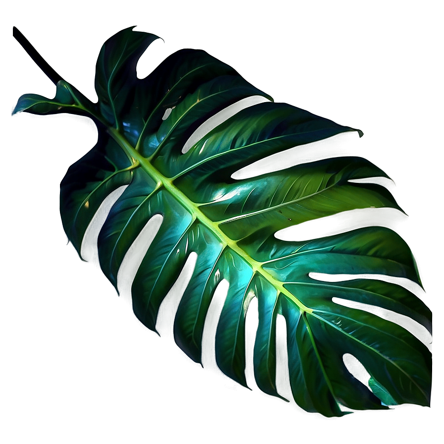 Tropical Leaf Silhouette Png Jwp97