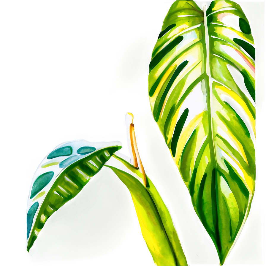 Tropical Leaf Watercolor Png Ime80