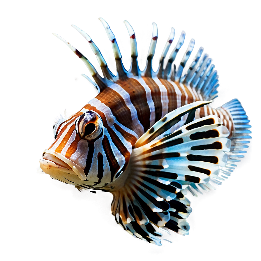 Tropical Lionfish Png 06292024