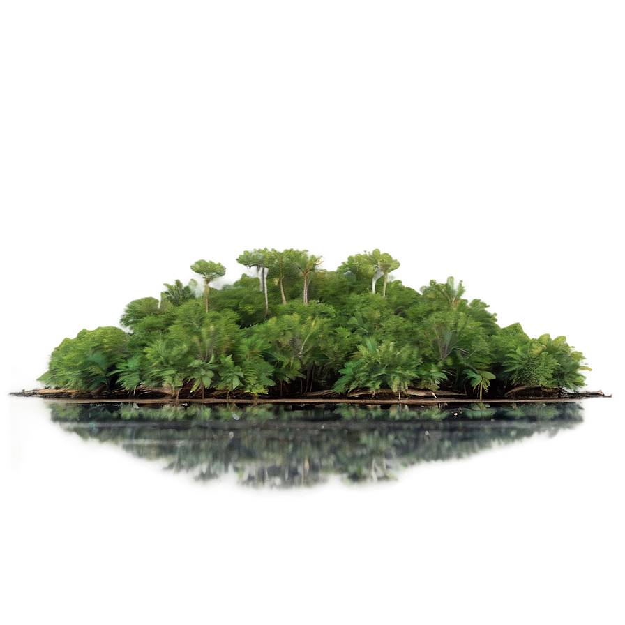 Tropical Mangrove Ecosystem Png 06112024