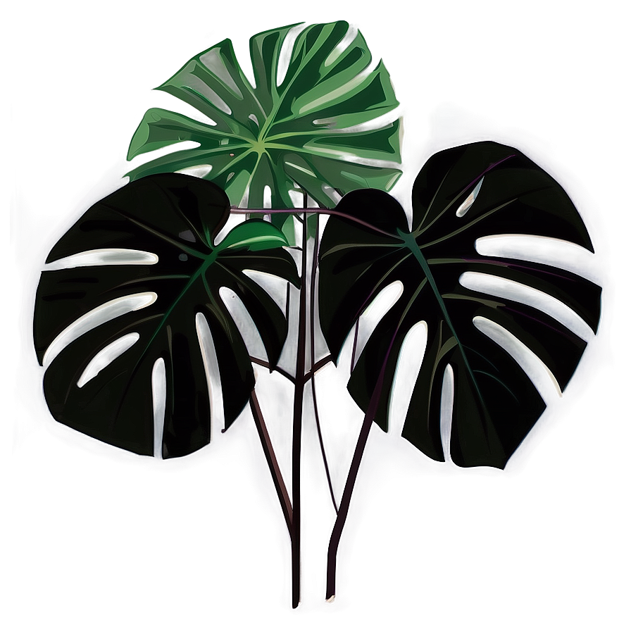 Tropical Monstera Silhouette Png 25