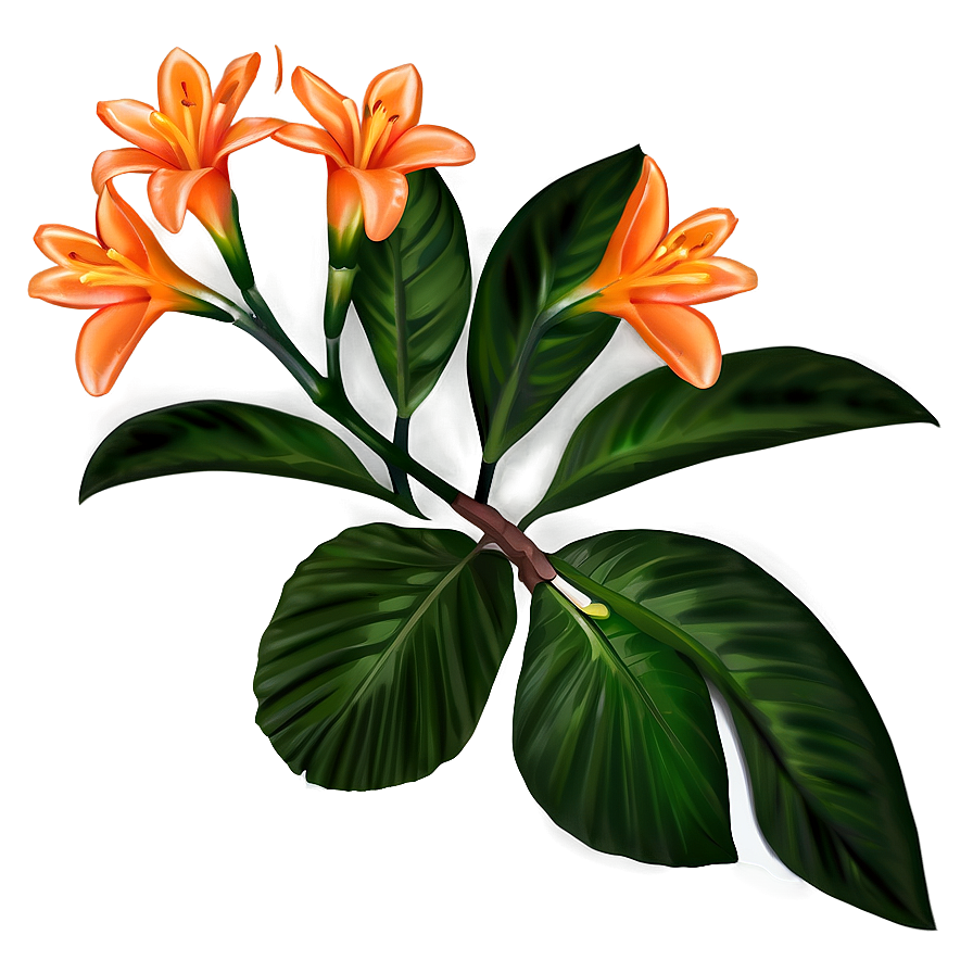 Tropical Orange Flower Png Fma