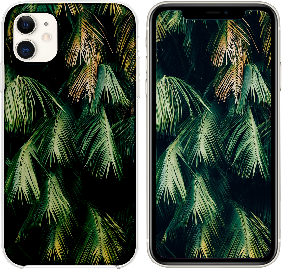 Tropical Palm Leaves Smartphone Wallpaper