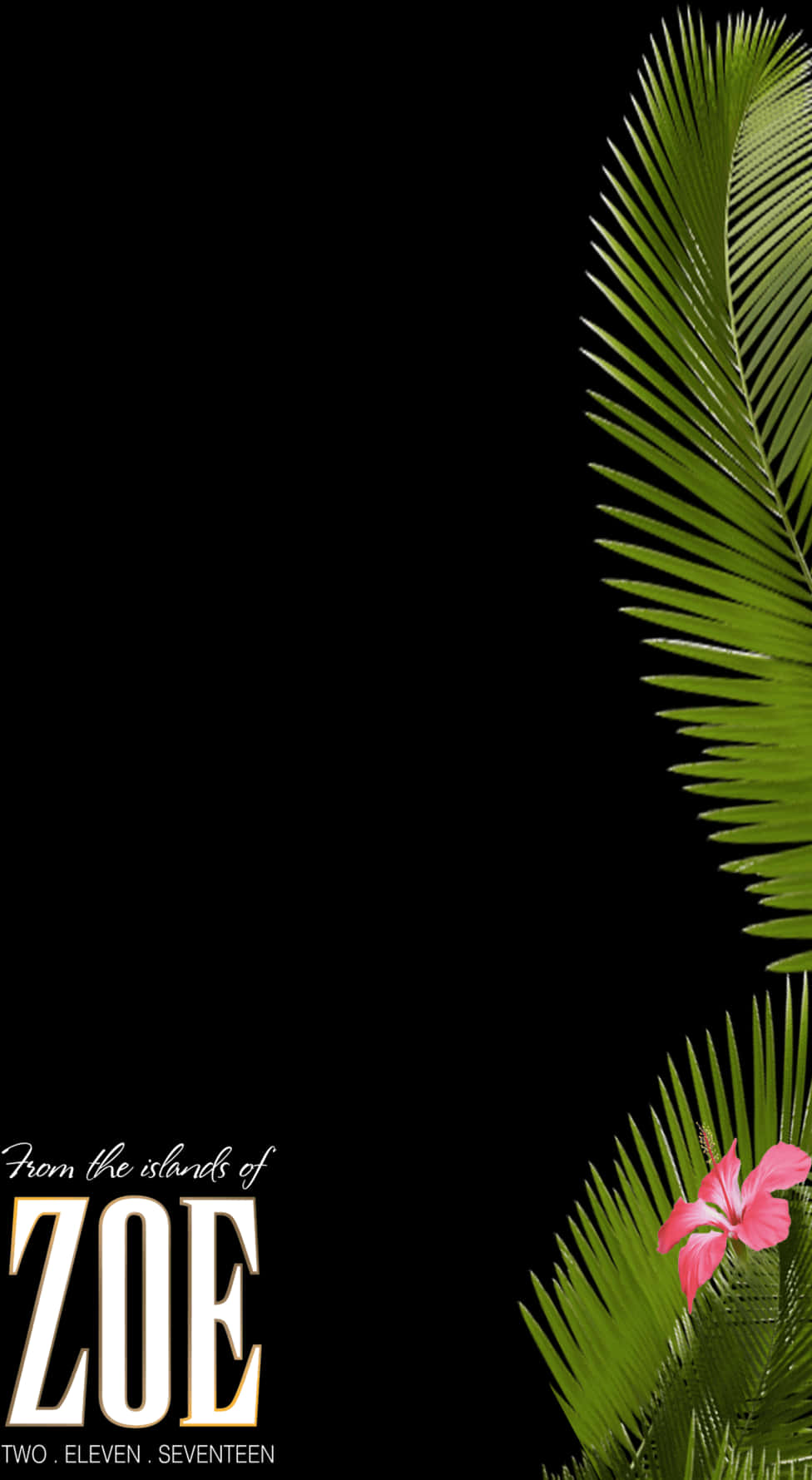 Tropical Palm Leavesand Flower Graphic