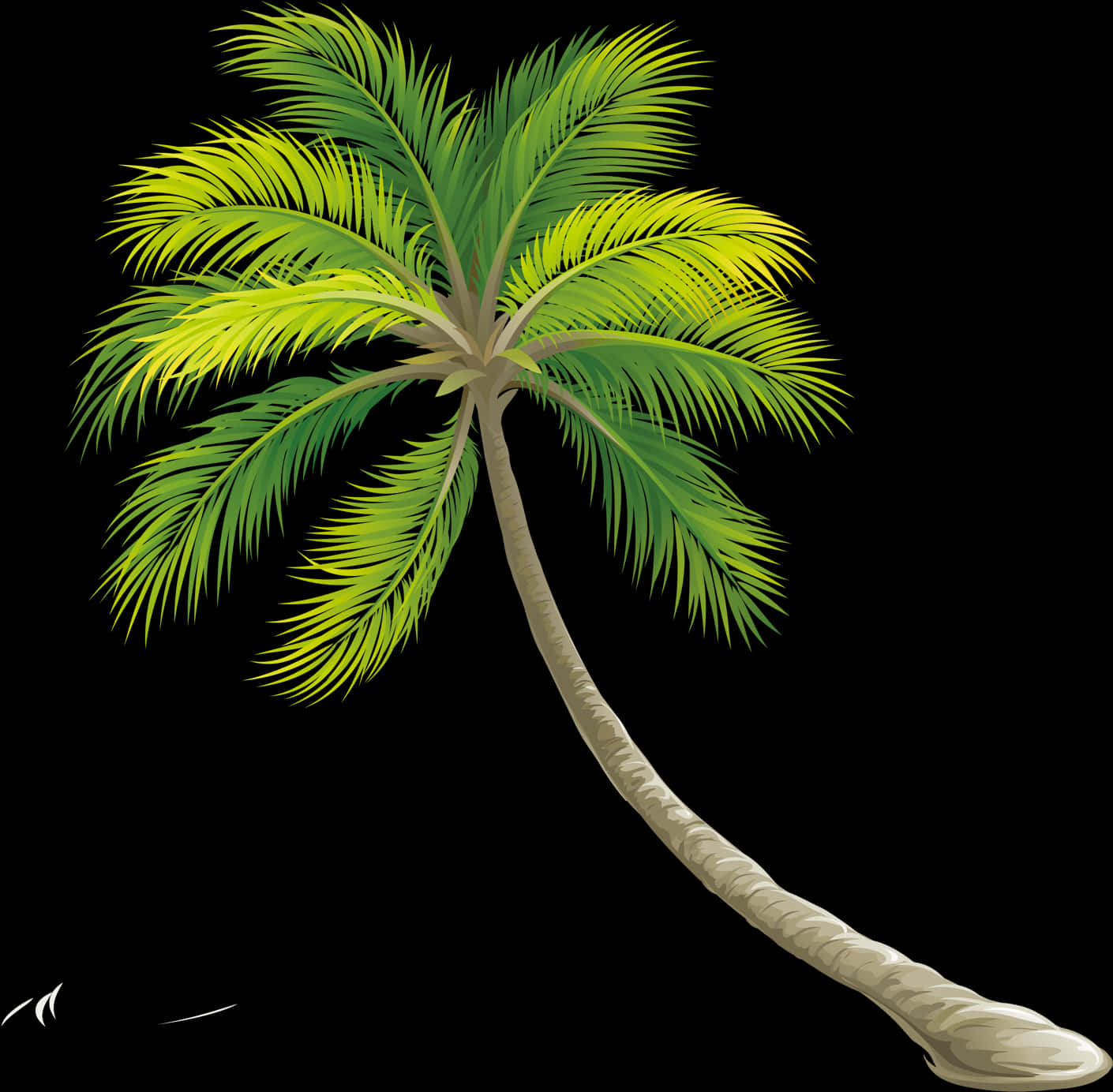 Tropical Palm Tree Illustration