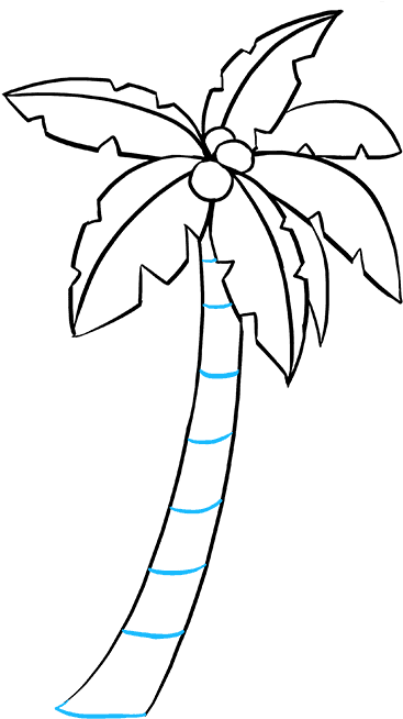 Tropical Palm Tree Line Art