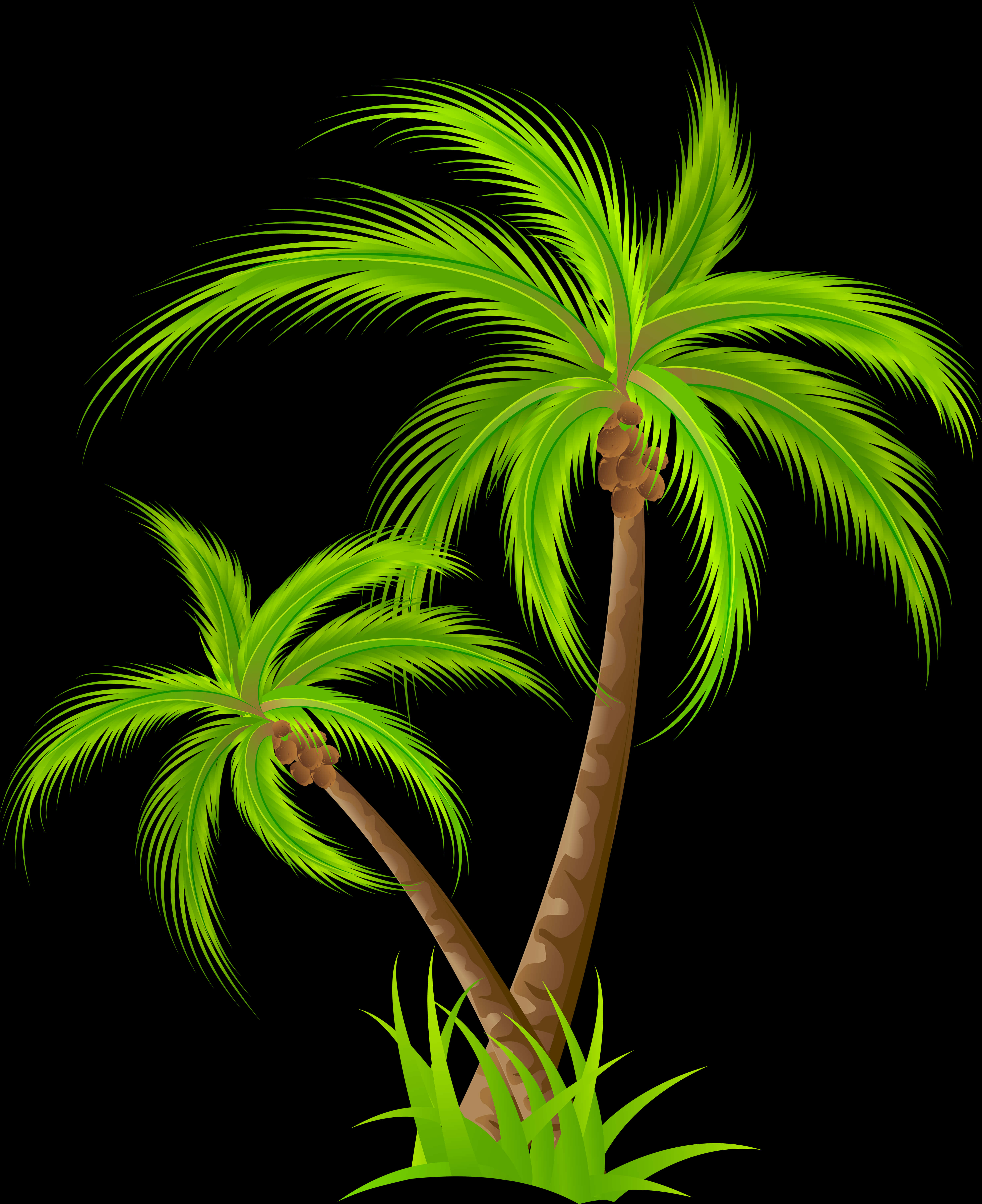 Tropical Palm Trees Illustration