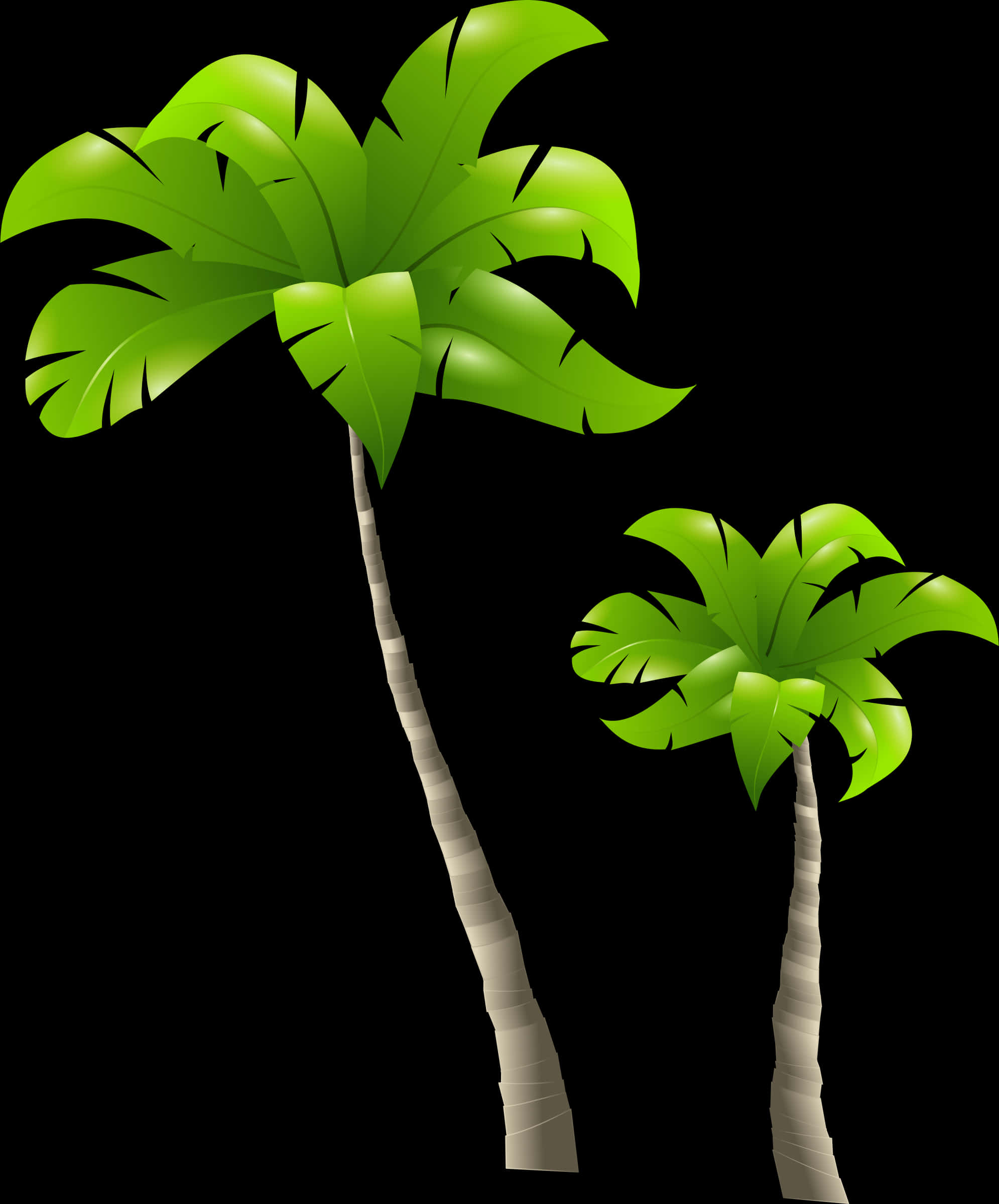 Tropical Palm Trees Illustration