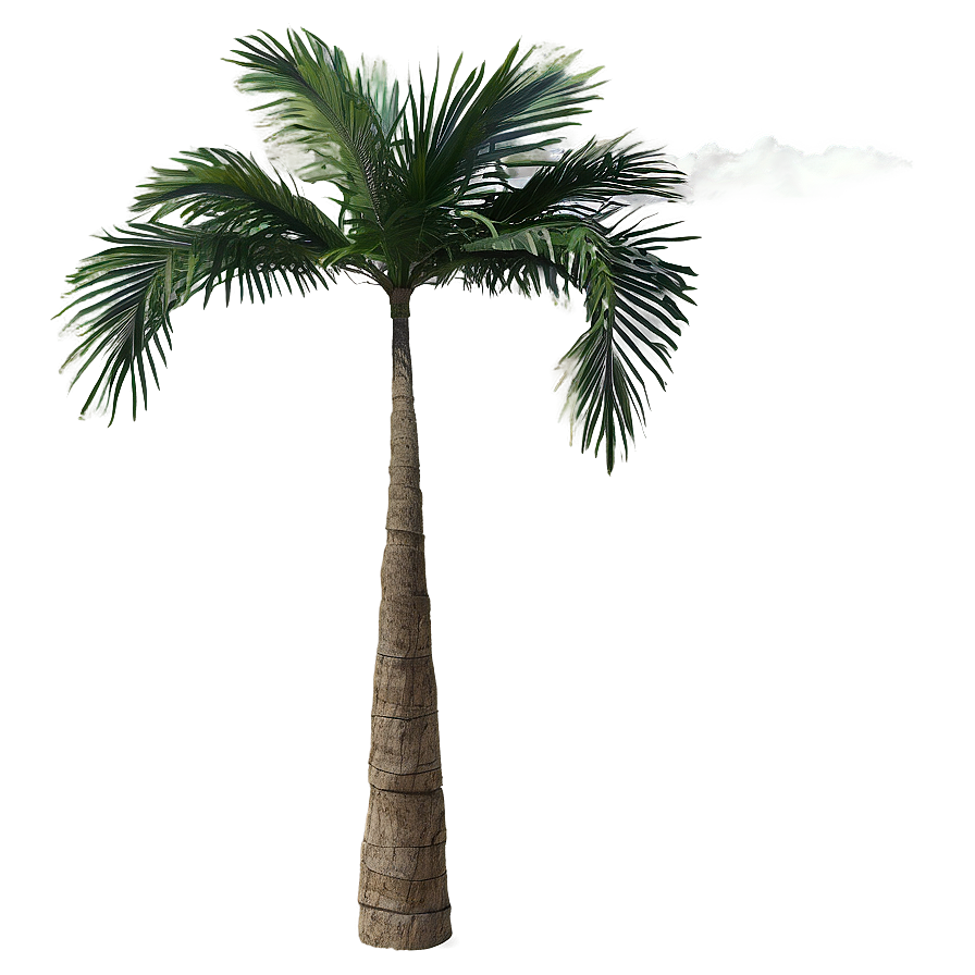 Tropical Palm Trees Png Juf37