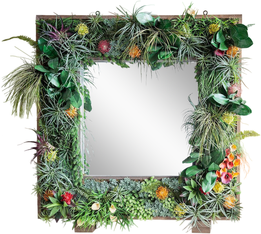 Tropical_ Plant_ Frame_ Mirror