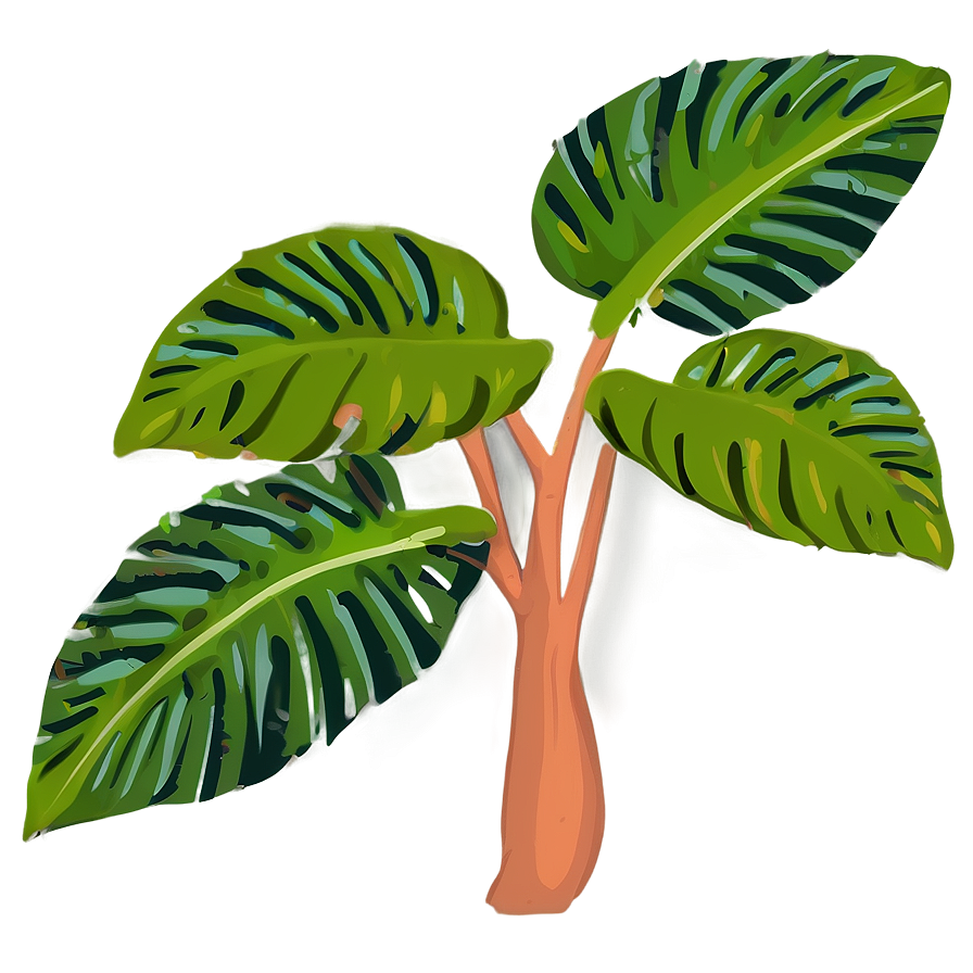 Tropical Plant Illustration Png 06272024