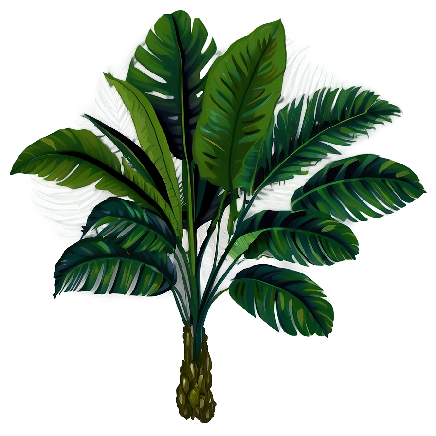 Tropical Plant Png 81