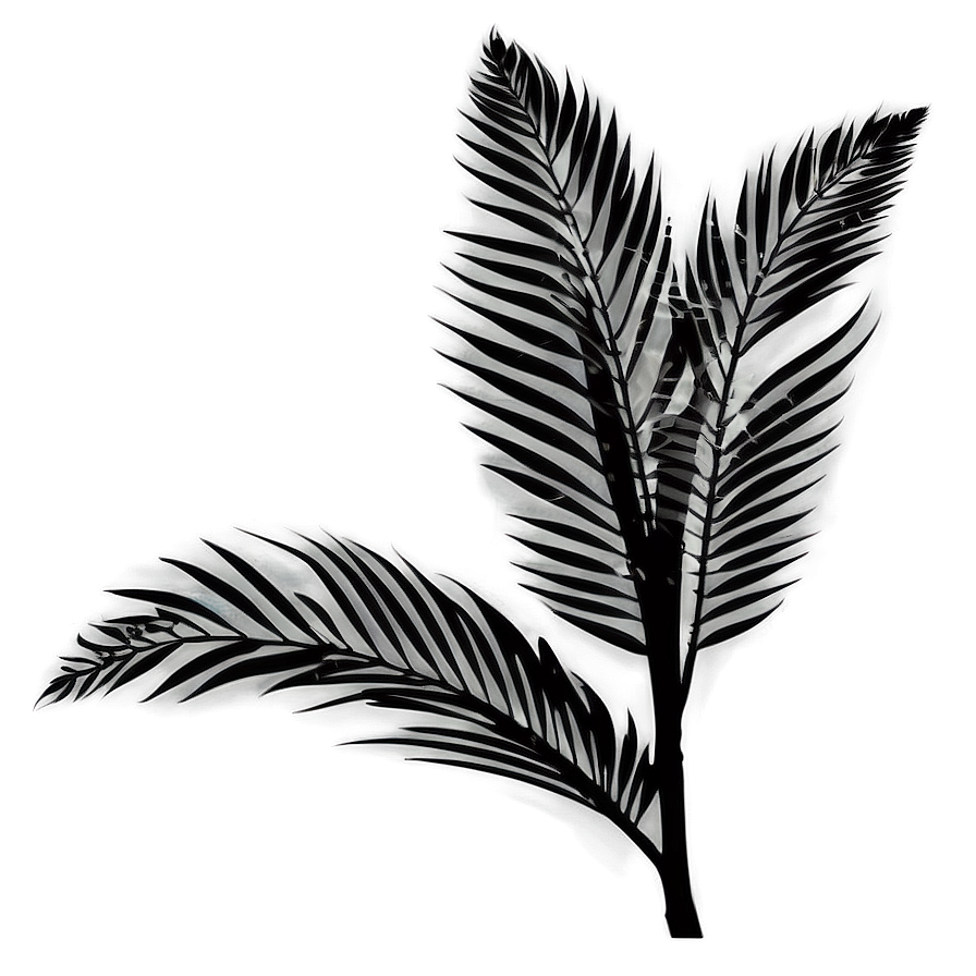 Tropical Plant Silhouette Png Ldq46