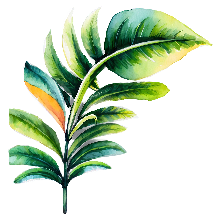 Tropical Plant Watercolor Png 13