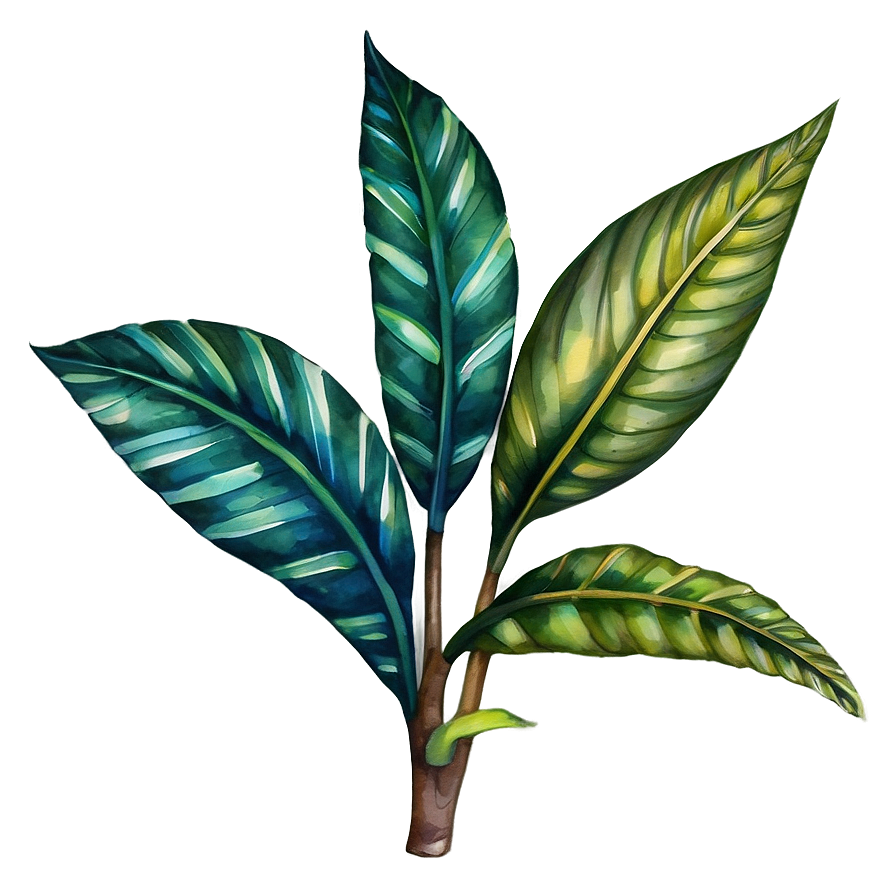 Tropical Plant Watercolor Png Aom