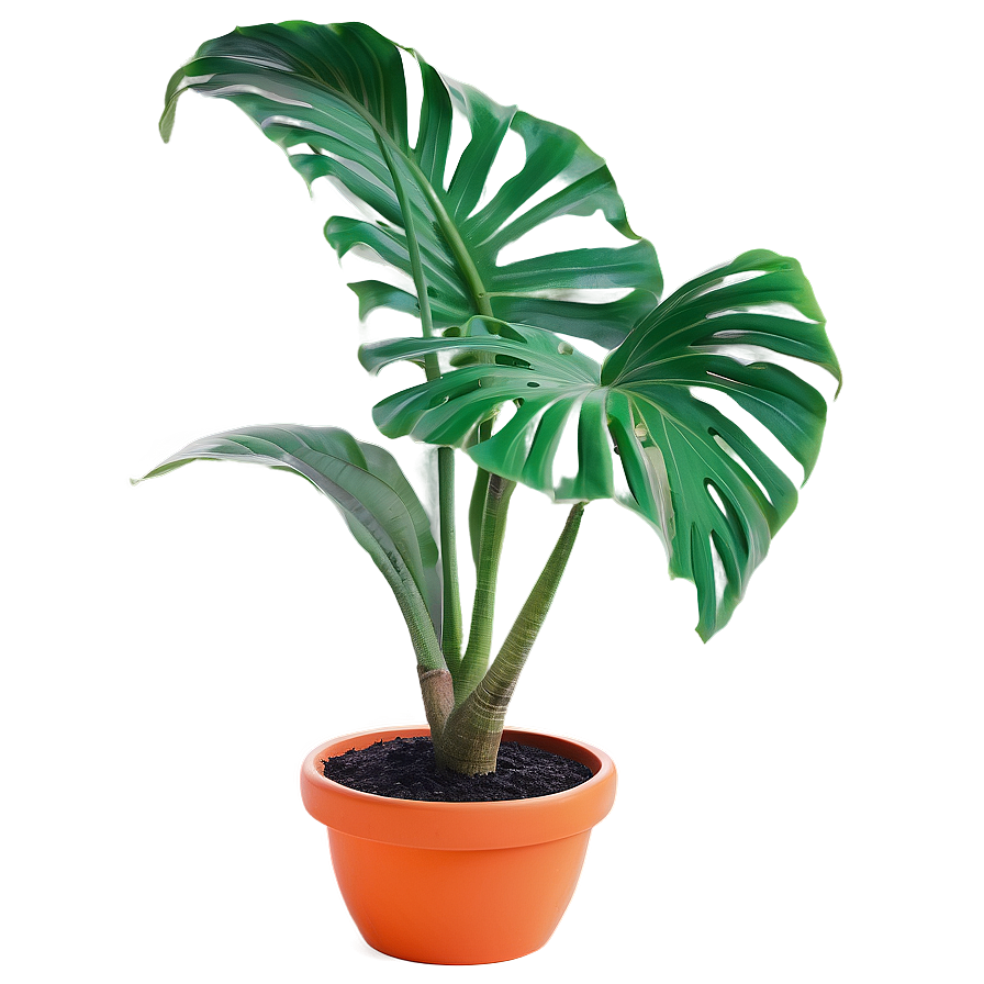 Tropical Potted Plants Png 32