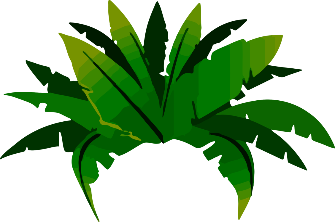 Tropical Rainforest Plant Illustration