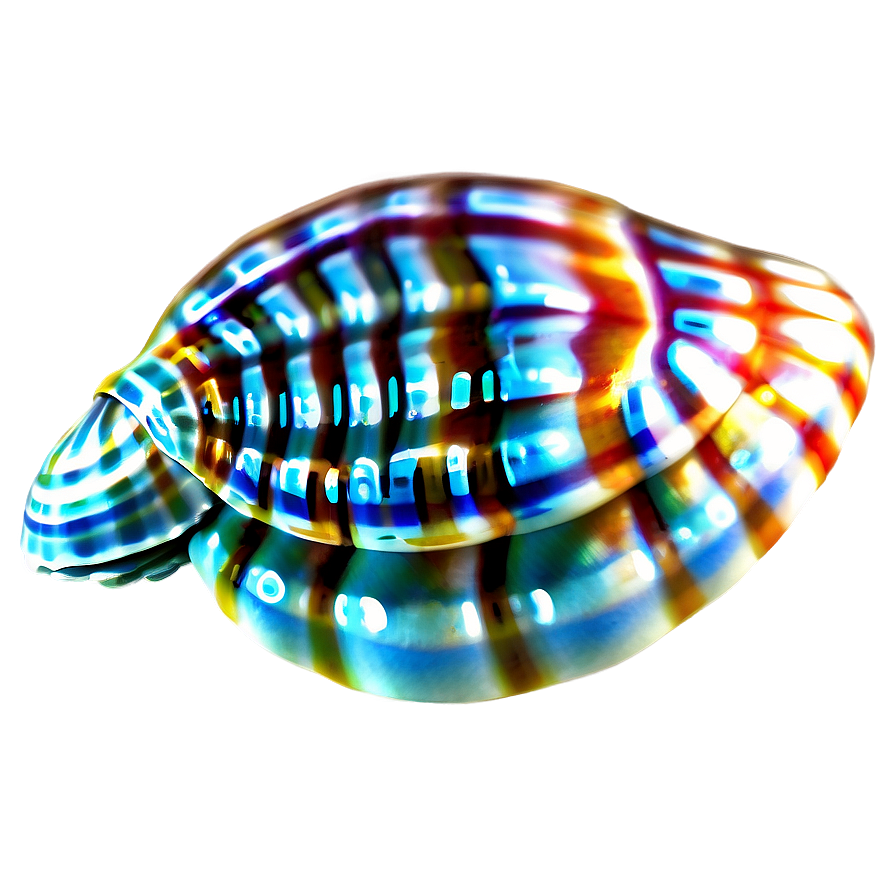 Tropical Seashell Design Png Oxx