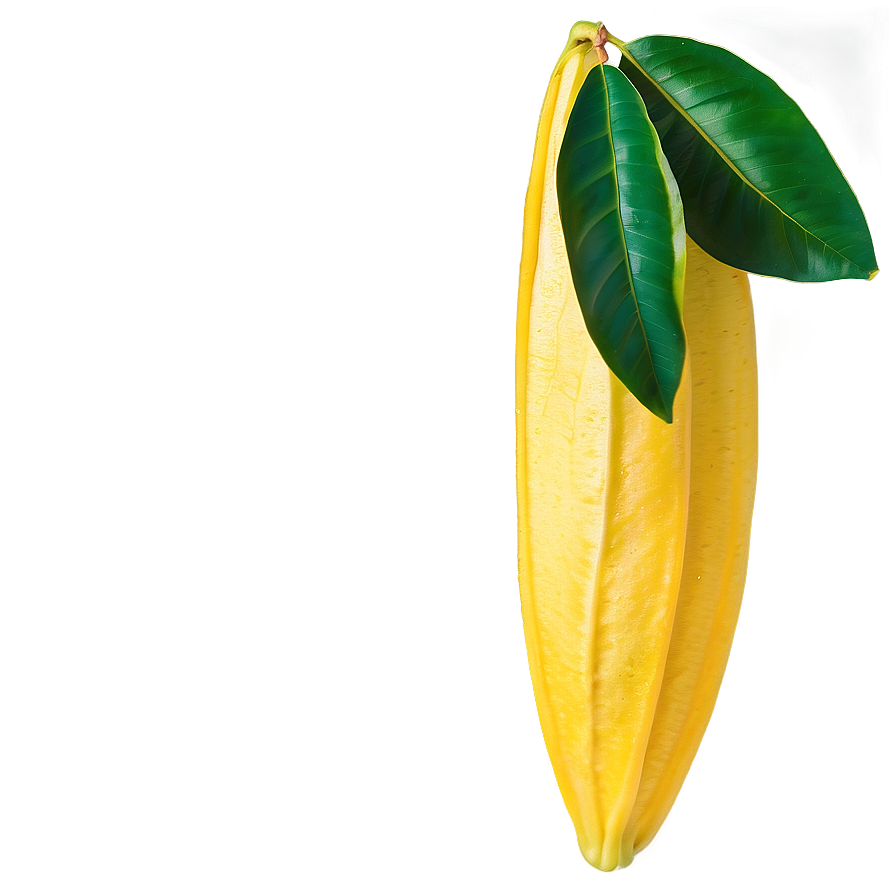 Tropical Star Fruit Png Wye