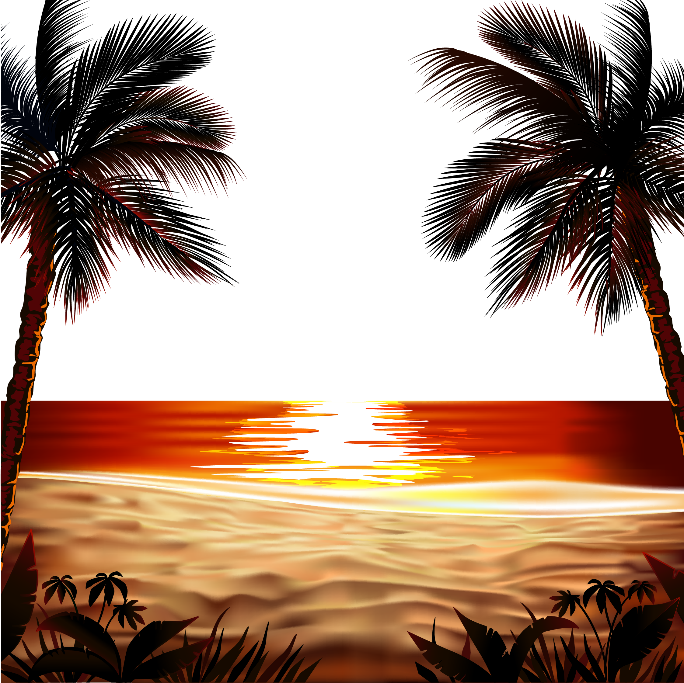 Tropical Sunrise Reflection