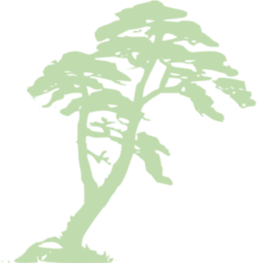 Tropical_ Tree_ Silhouette