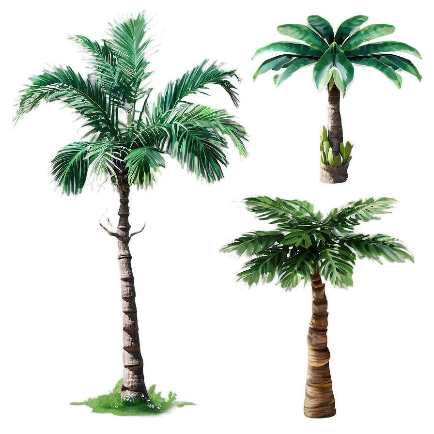 Tropical Trees Png Usv8