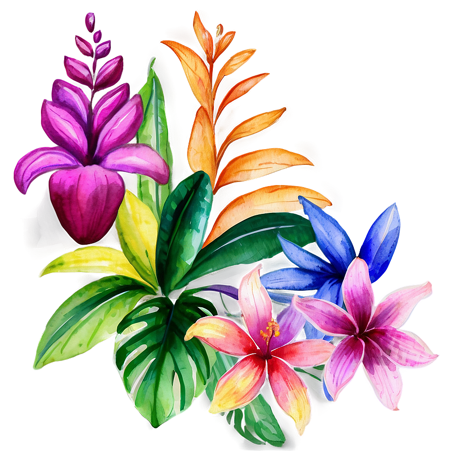 Tropical Watercolor Flowers Png Rmj52