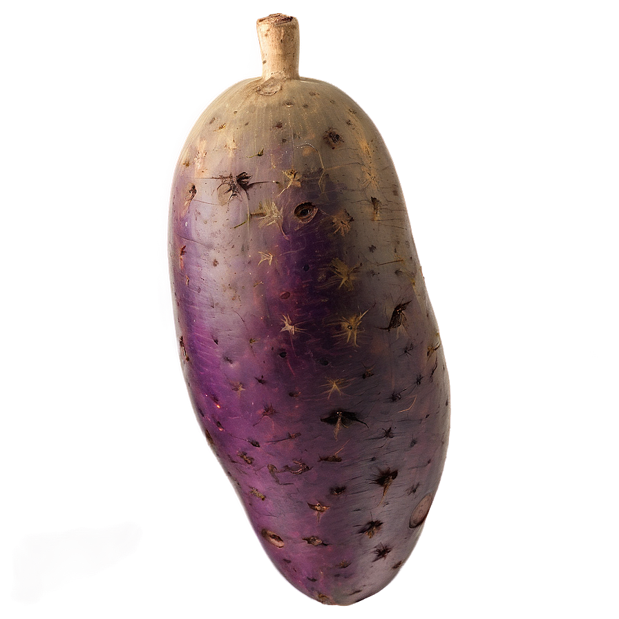 Tuber Botanical Study Png Hqd32