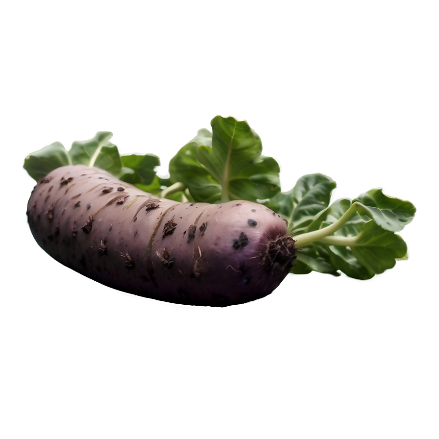 Tuber Gardening Tips Png Swp