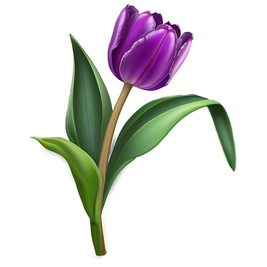 Tulip Clipart Png 26