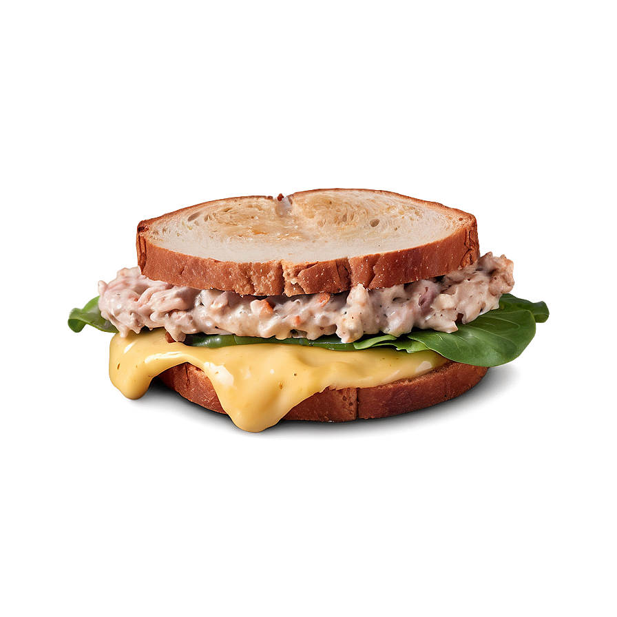 Tuna Melt Sandwich Png 06122024