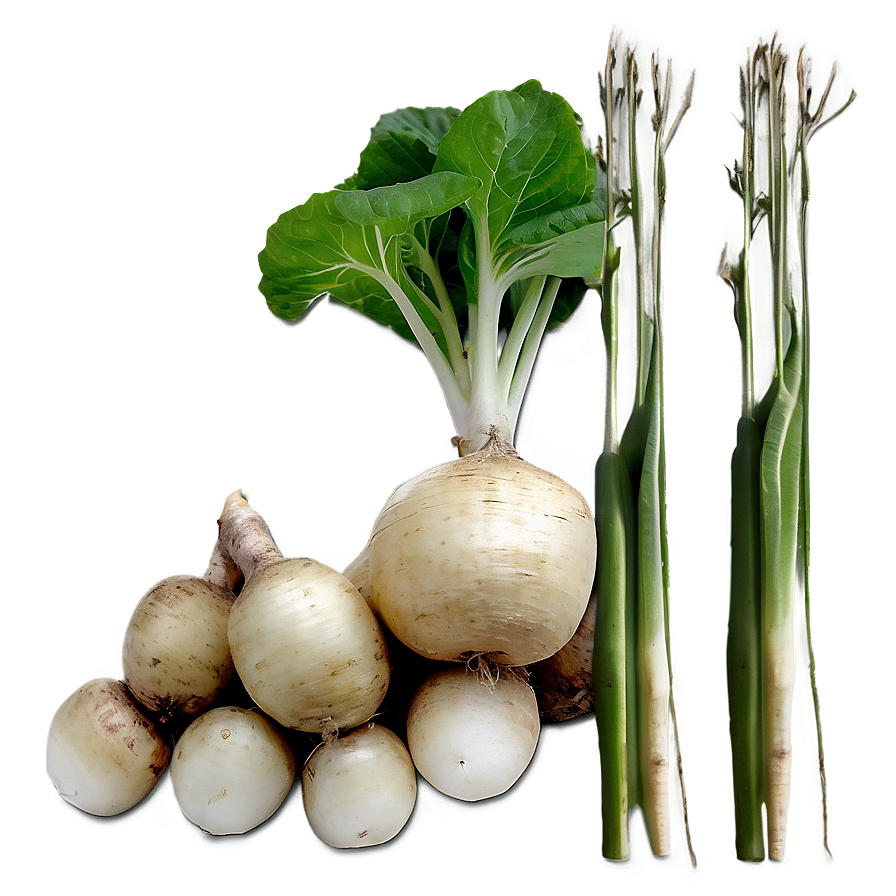 Turnip Farm Png Fqq56