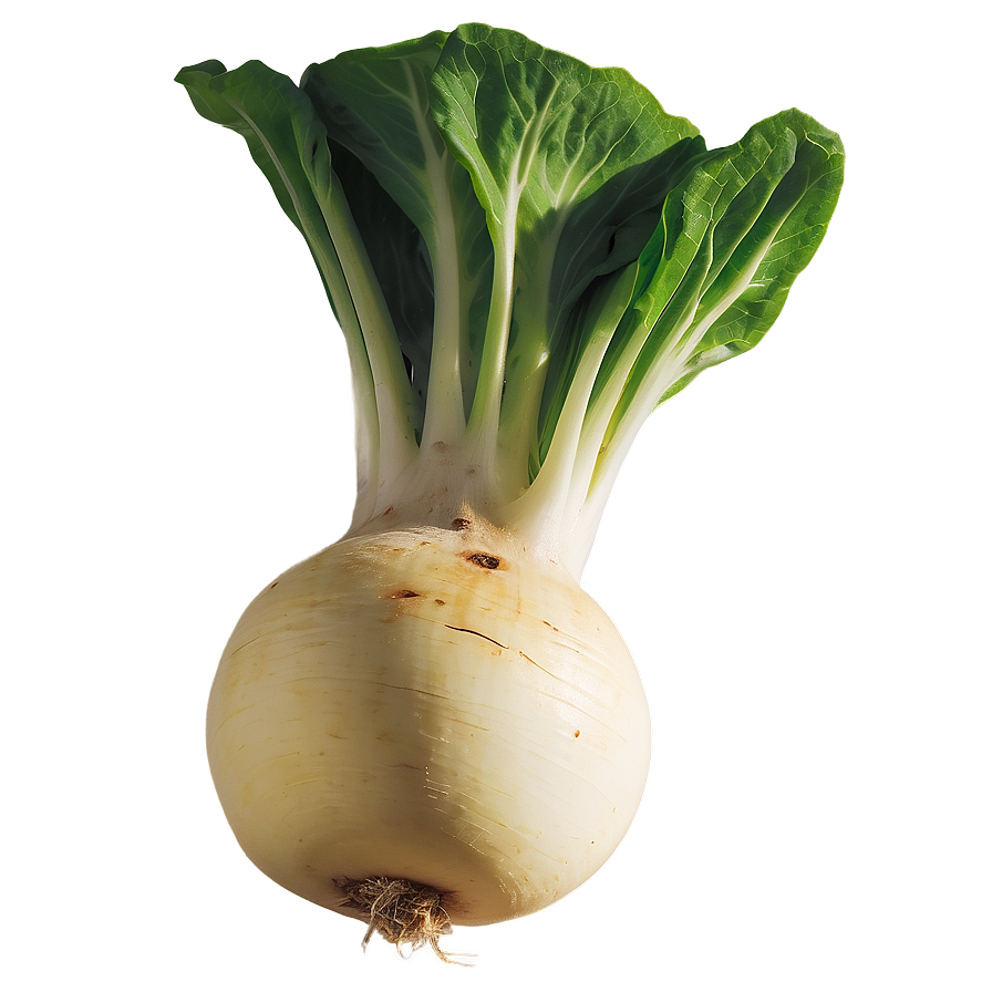 Turnip Graphic Png Rwd