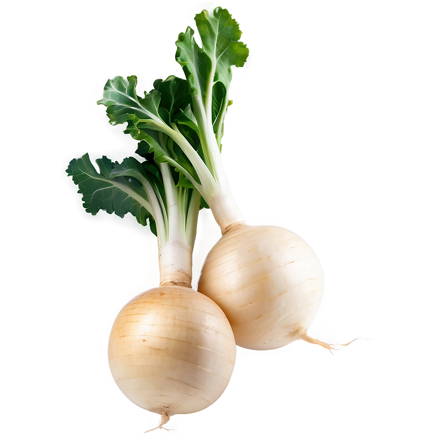 Turnip Plant Png 06252024