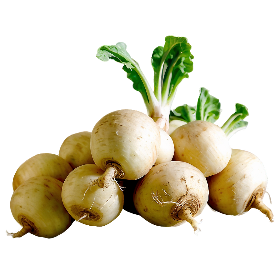 Turnip Root Png Hmw