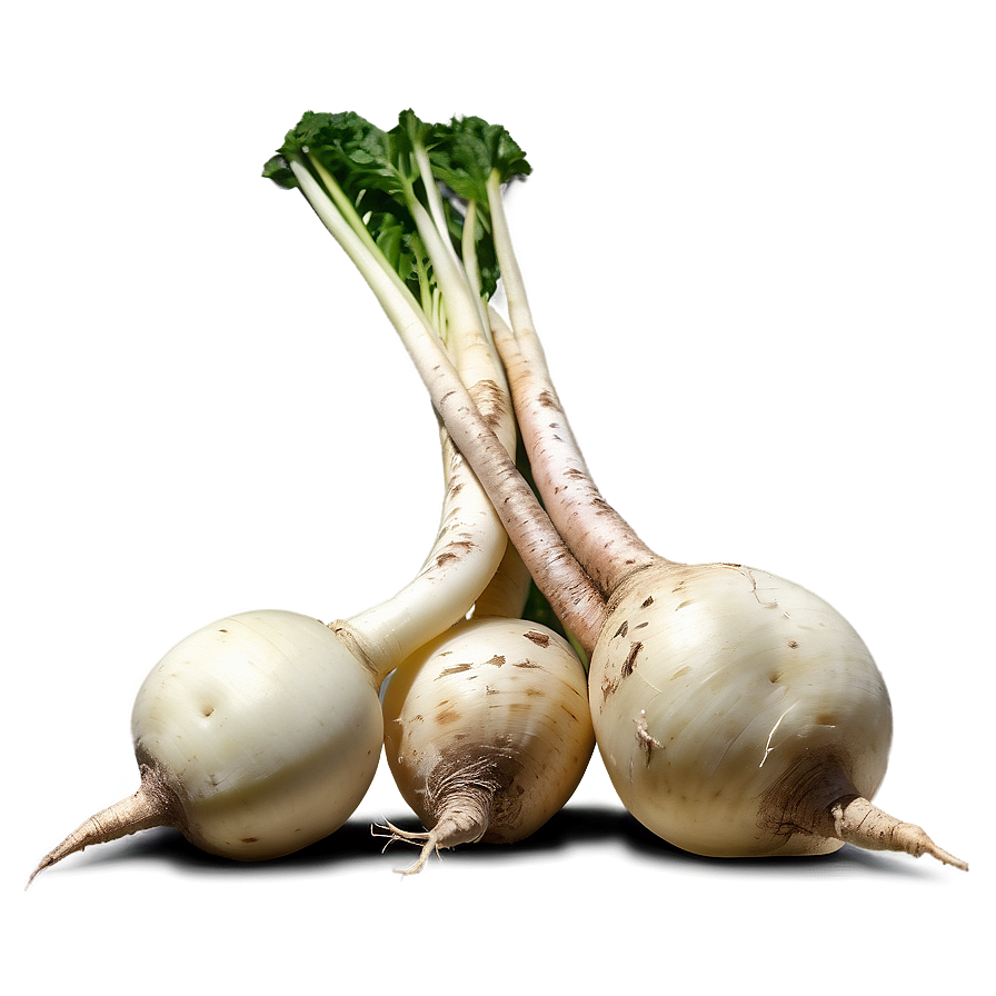 Turnip Root Png Sam18