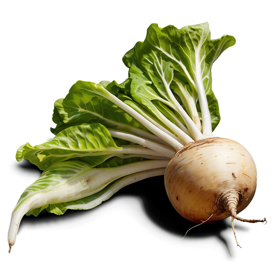 Turnip Vector Png Yws88