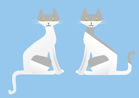 Twin Gray Cats Illustration