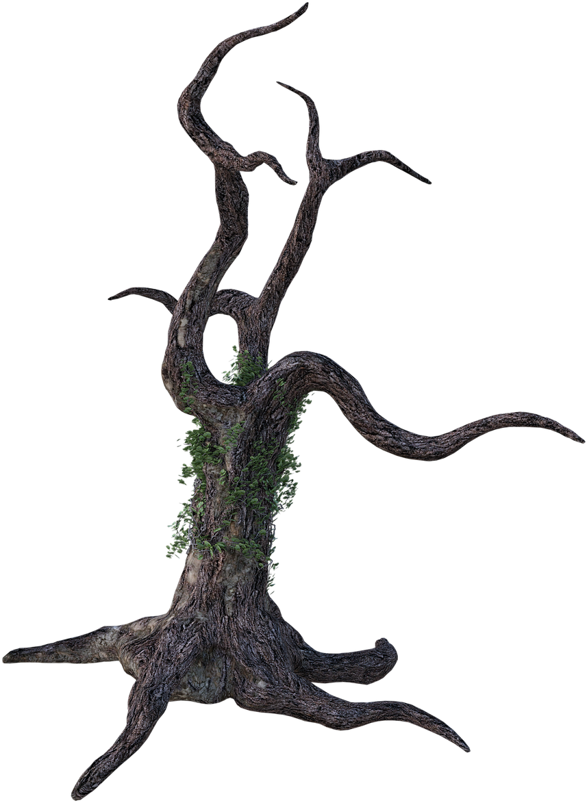 Twisted Bare Treewith Green Foliage