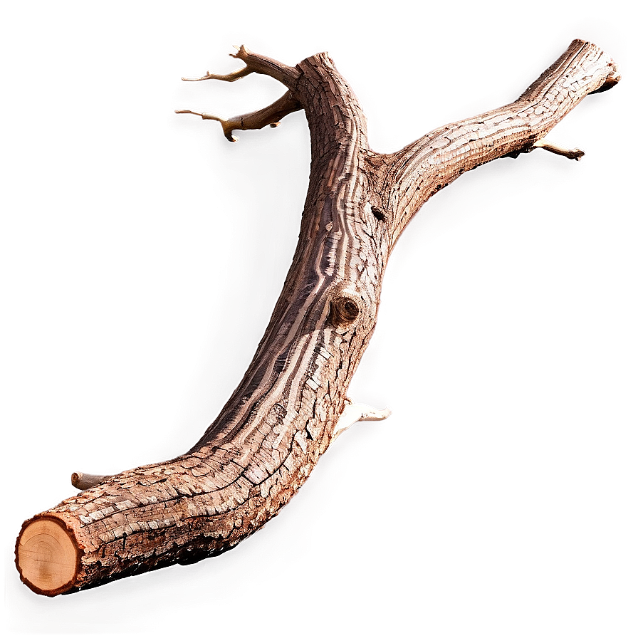 Twisted Tree Trunk Png Wji