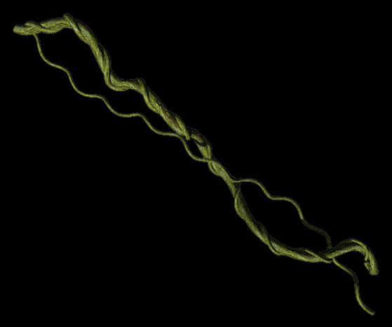 Twisting Green Vine Black Background