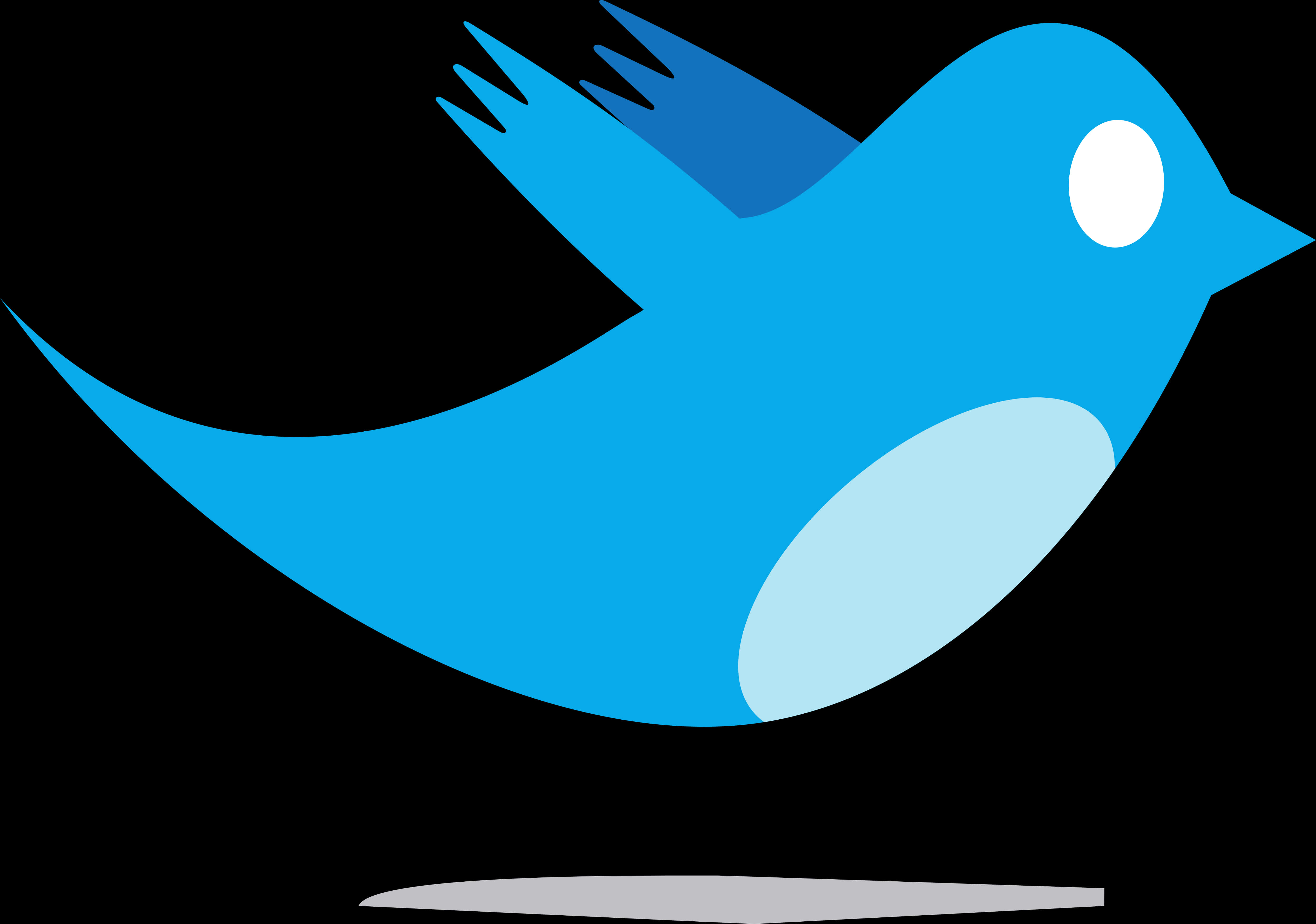 Twitter Logo Blue Bird