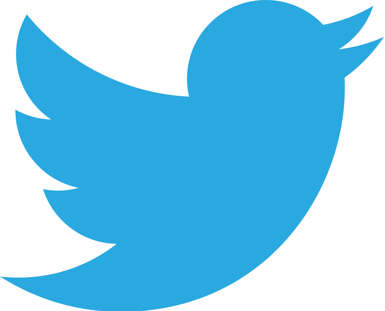 Twitter Logo Blue Bird